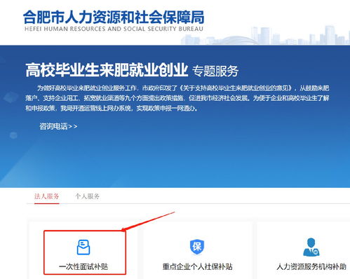高校毕业生来合肥一次性面试补贴申请指南及职业中介活动解析