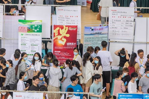 高校毕业生人数创历史新高，河南明确实现“动态清零”目标